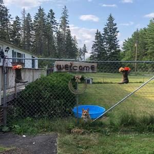 Meet your Posher, Laureen